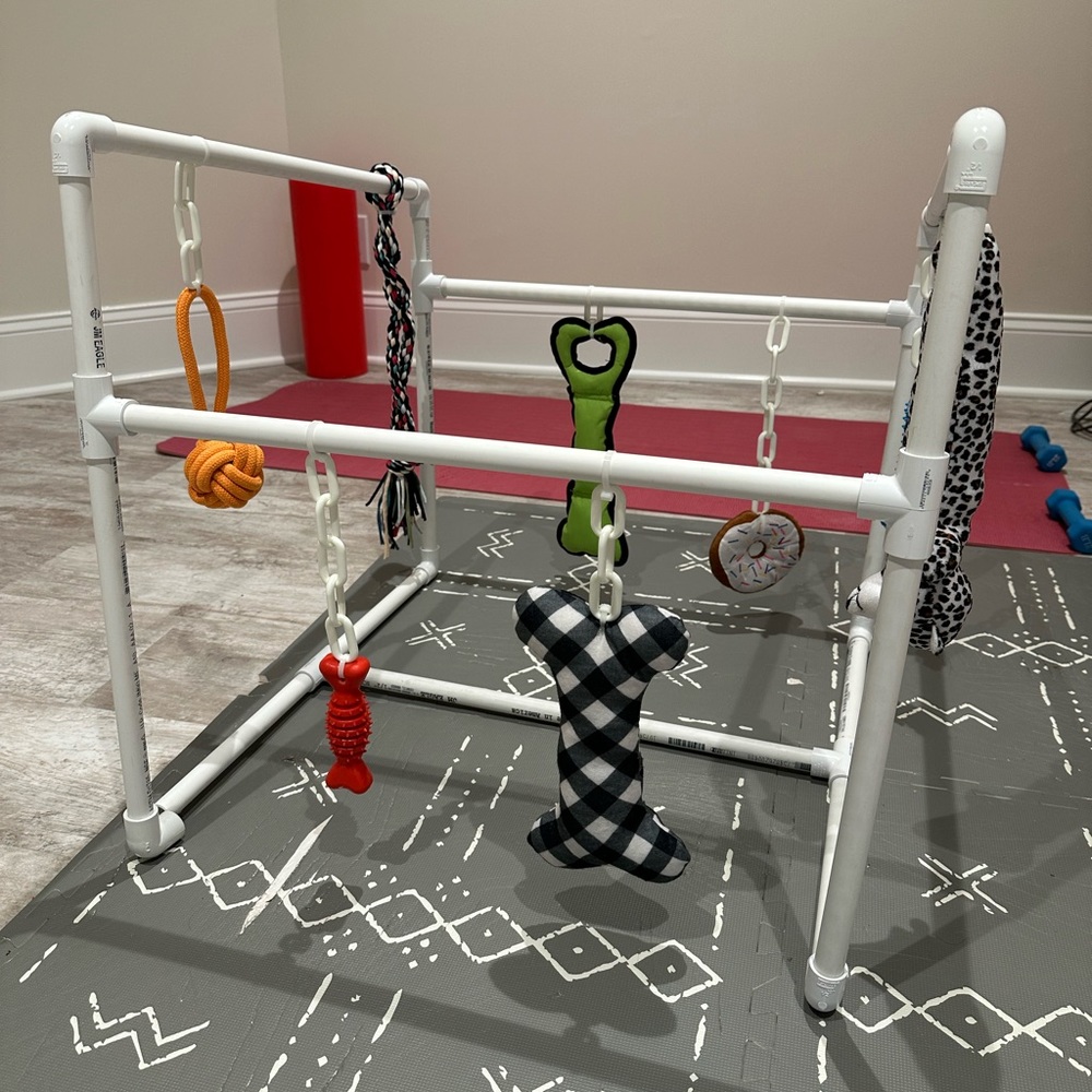 Puppy toy gym